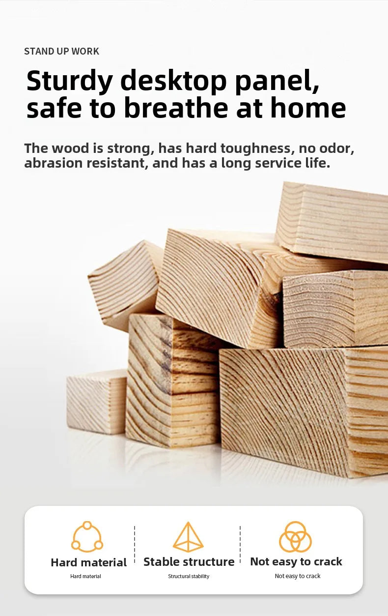 Electric Standing Desk